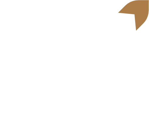 MonDe